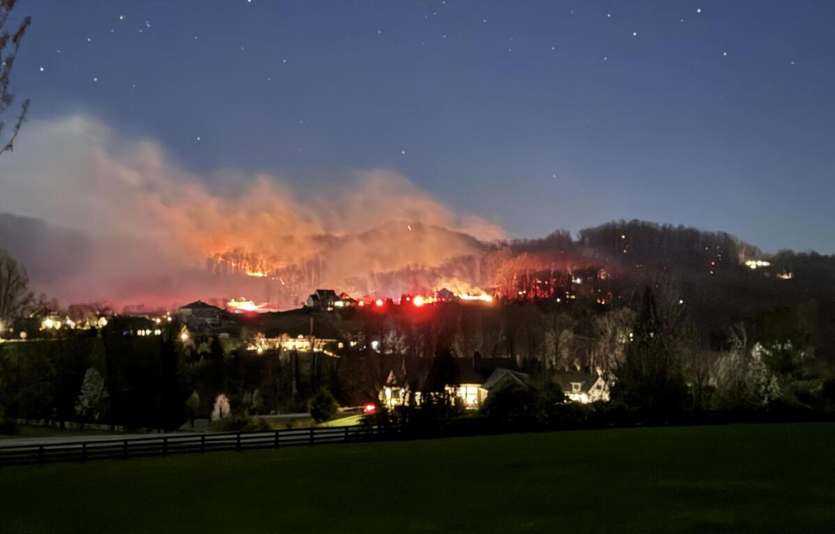 Albemarle wildfire