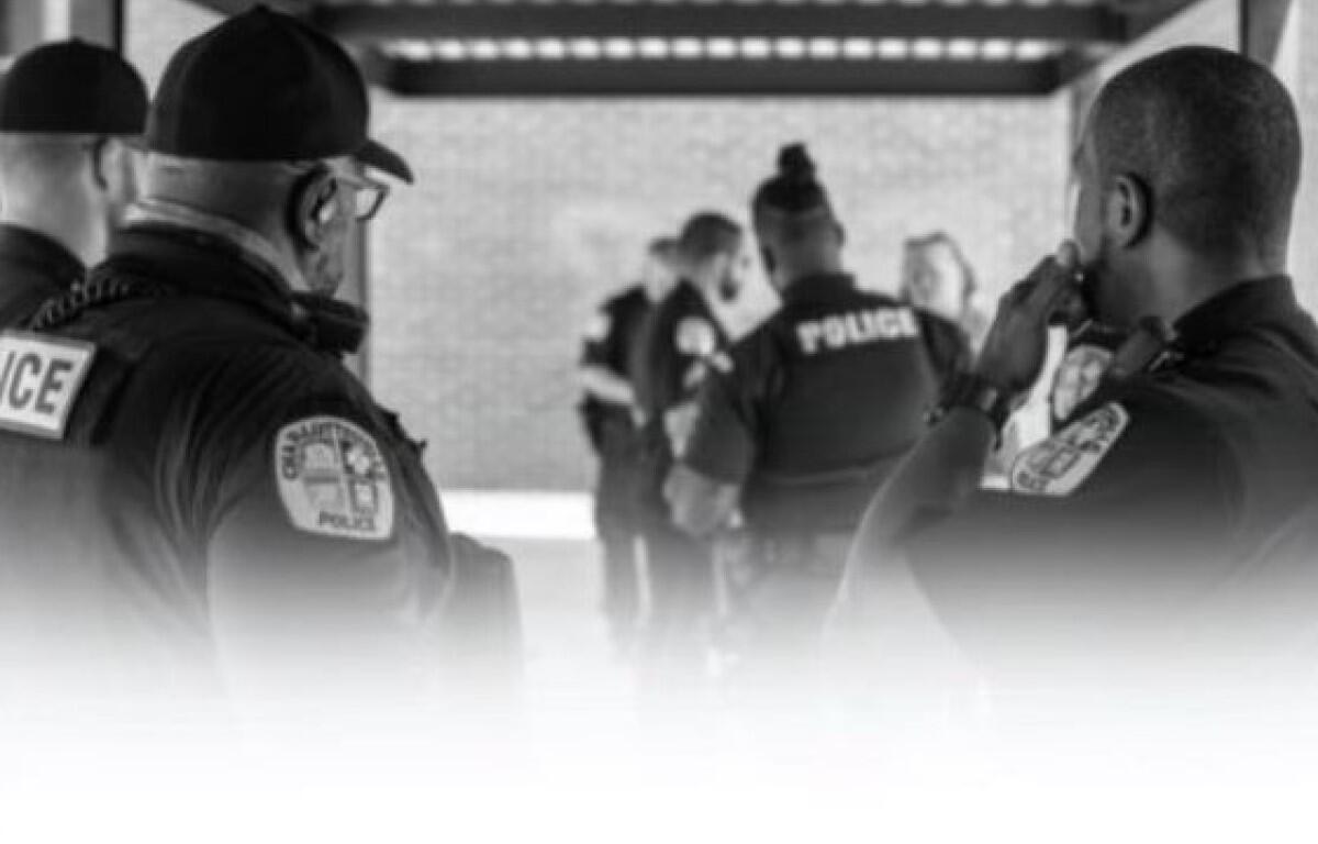 crime investigation