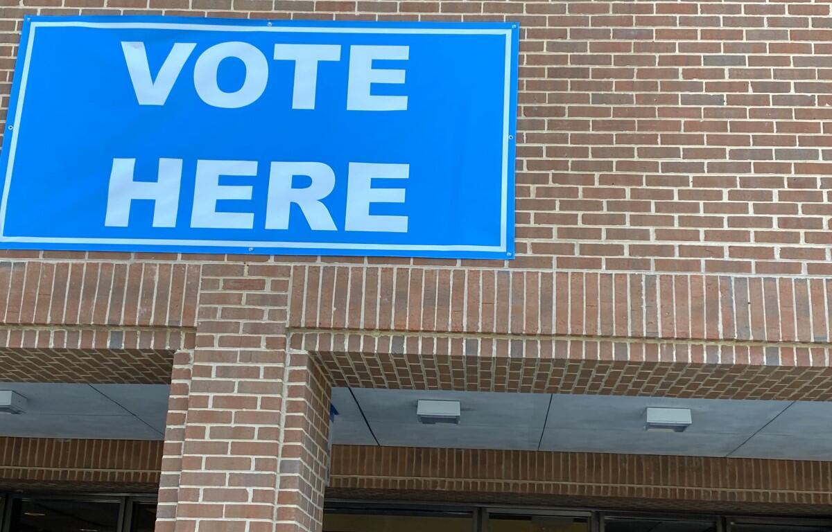 poll voting