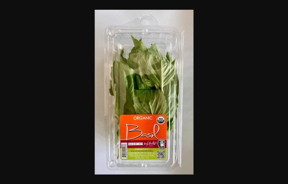 Infinite Herbs basil