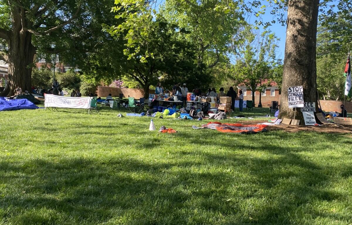UVa pro-Palestinian protest