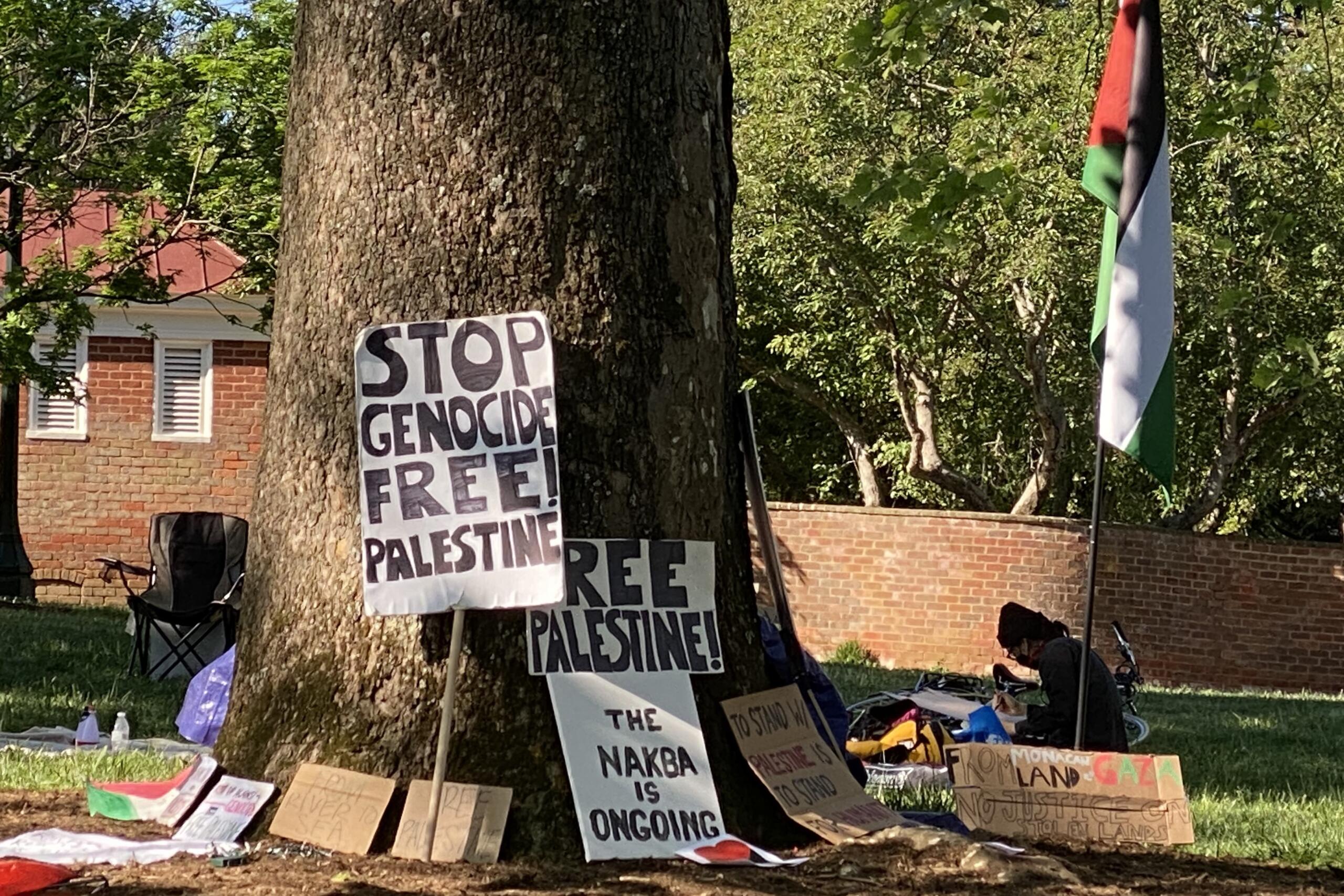 UVa pro-Palestinian signs