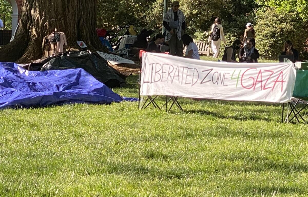 UVa pro-Palestinian protest sign and tarp or tent