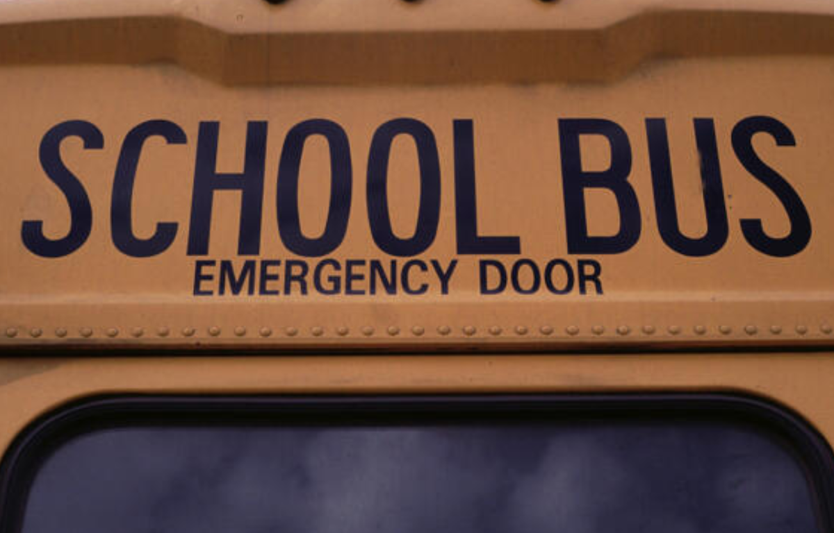 school bus back