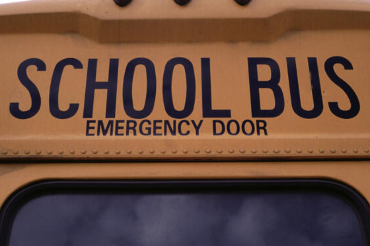 school bus back