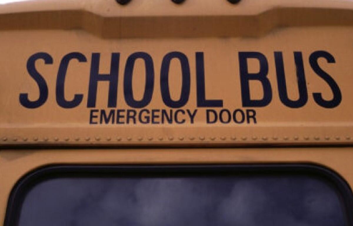 school bus back