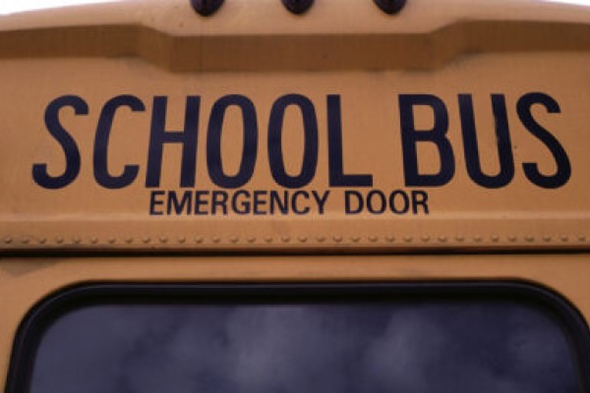 school bus back