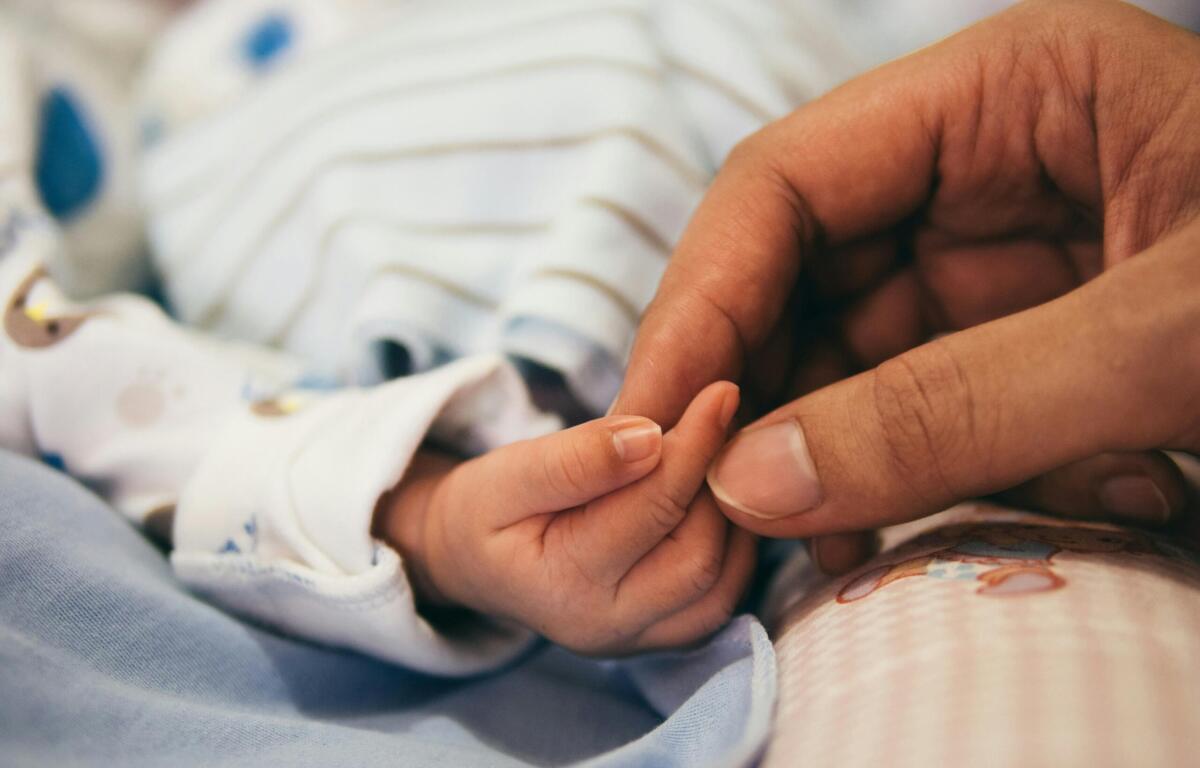 person holding child's finger