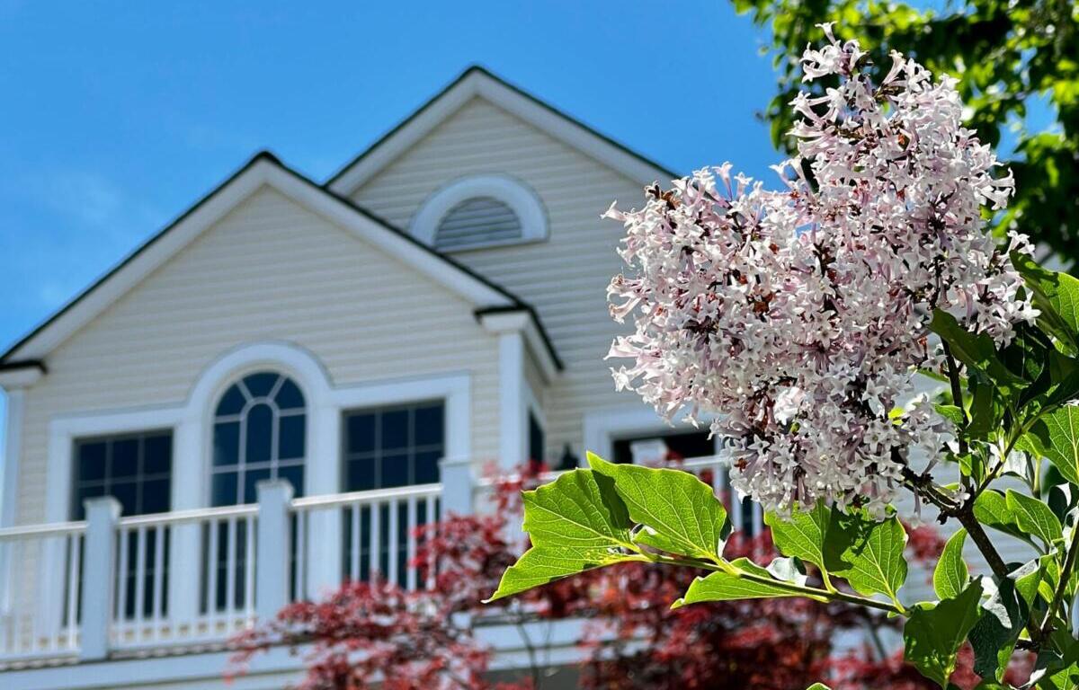 curb appeal