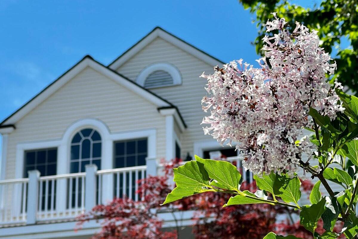 curb appeal