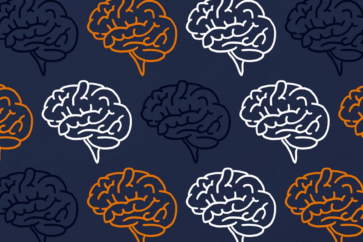 brains (drawing)