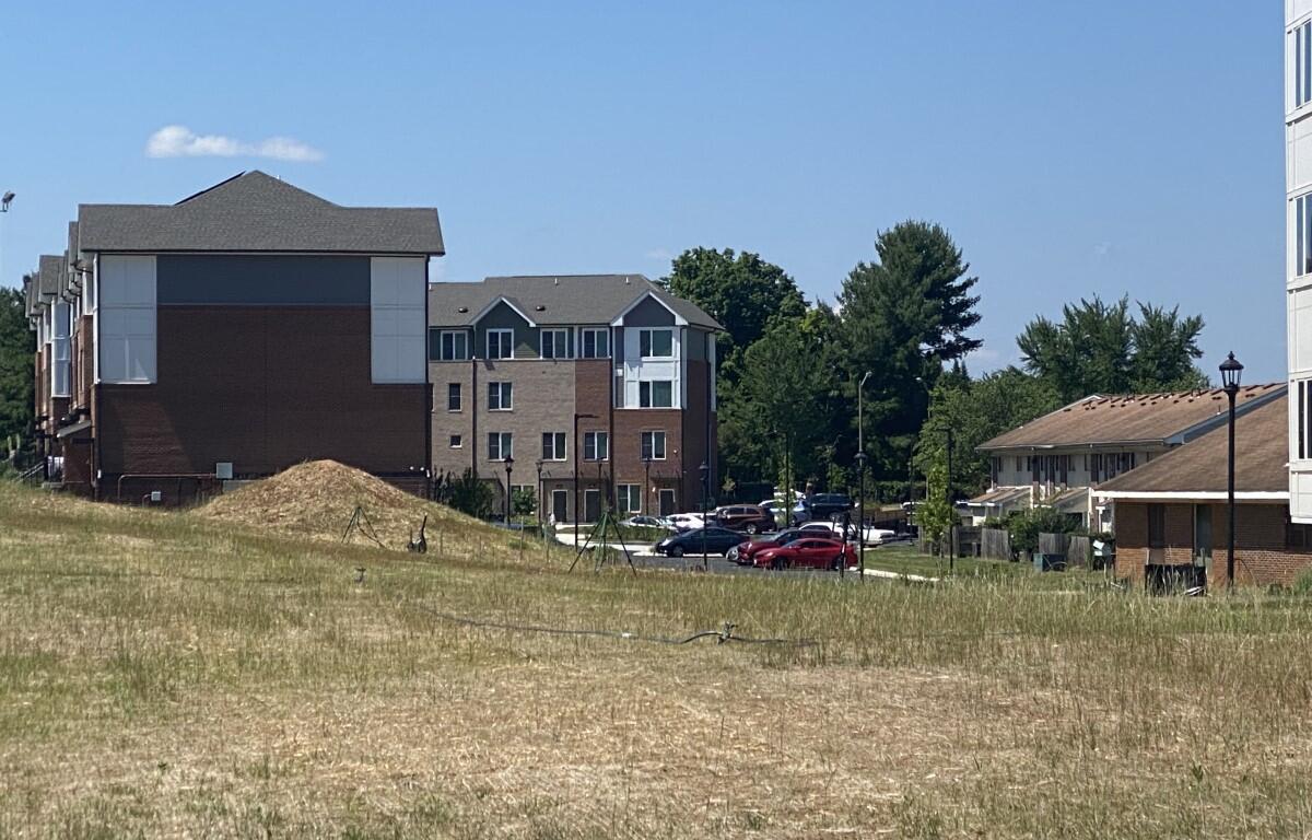 Kindlewood Phase 1 contrast