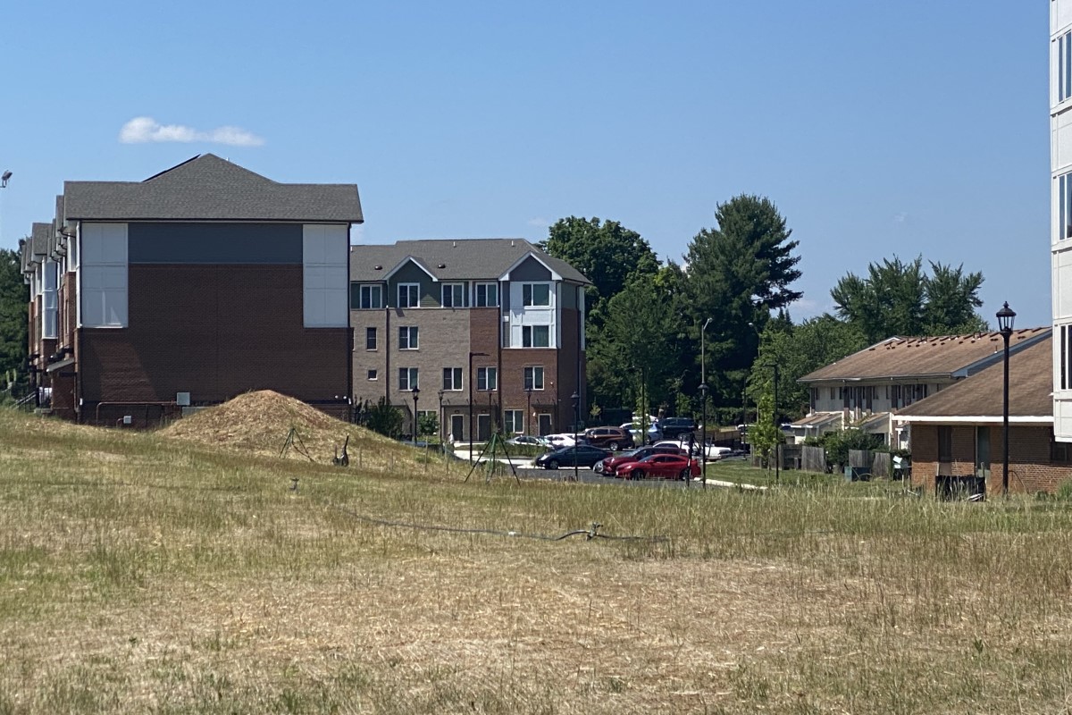 Kindlewood Phase 1 contrast