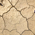 dry cracked ground