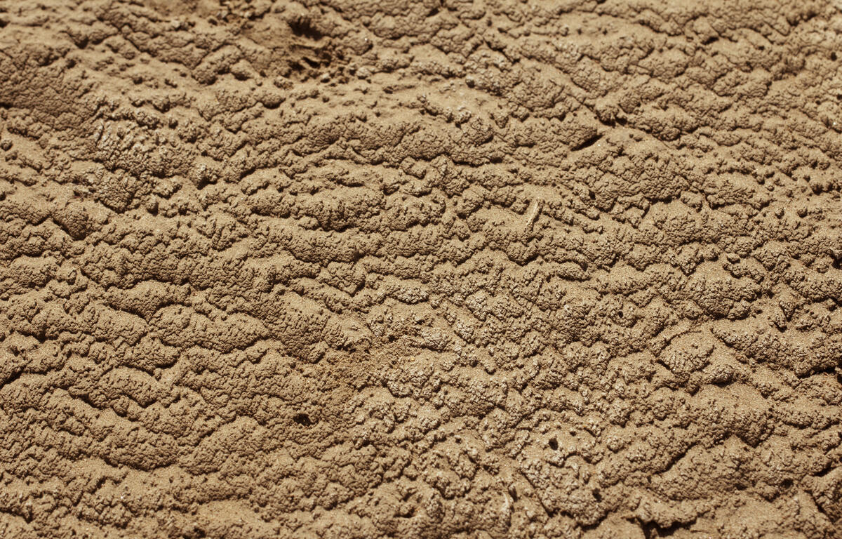dry ground