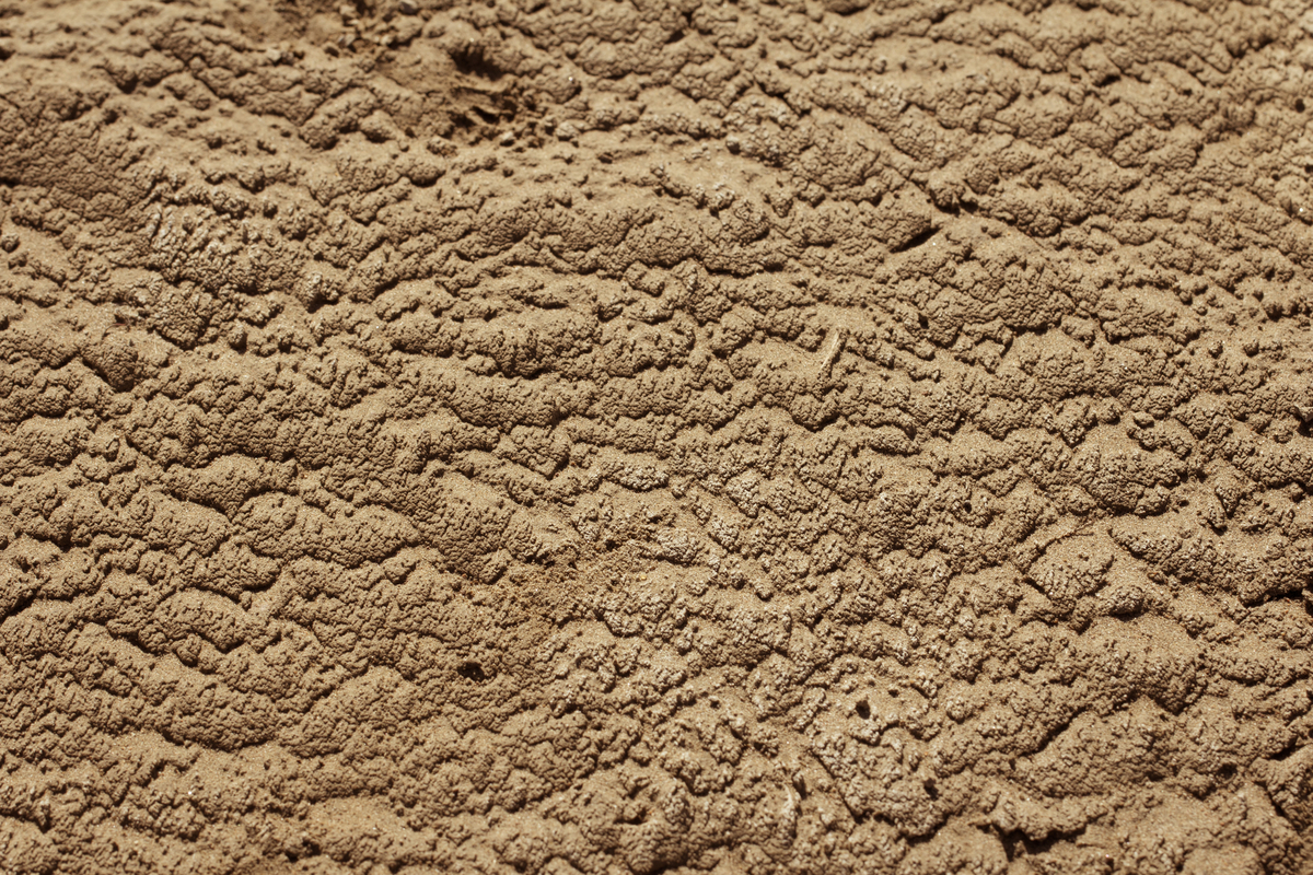 dry ground