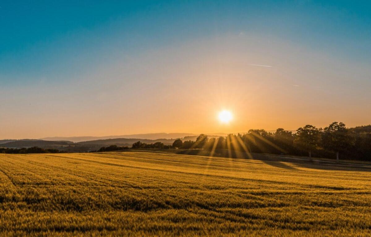 sunny landscape