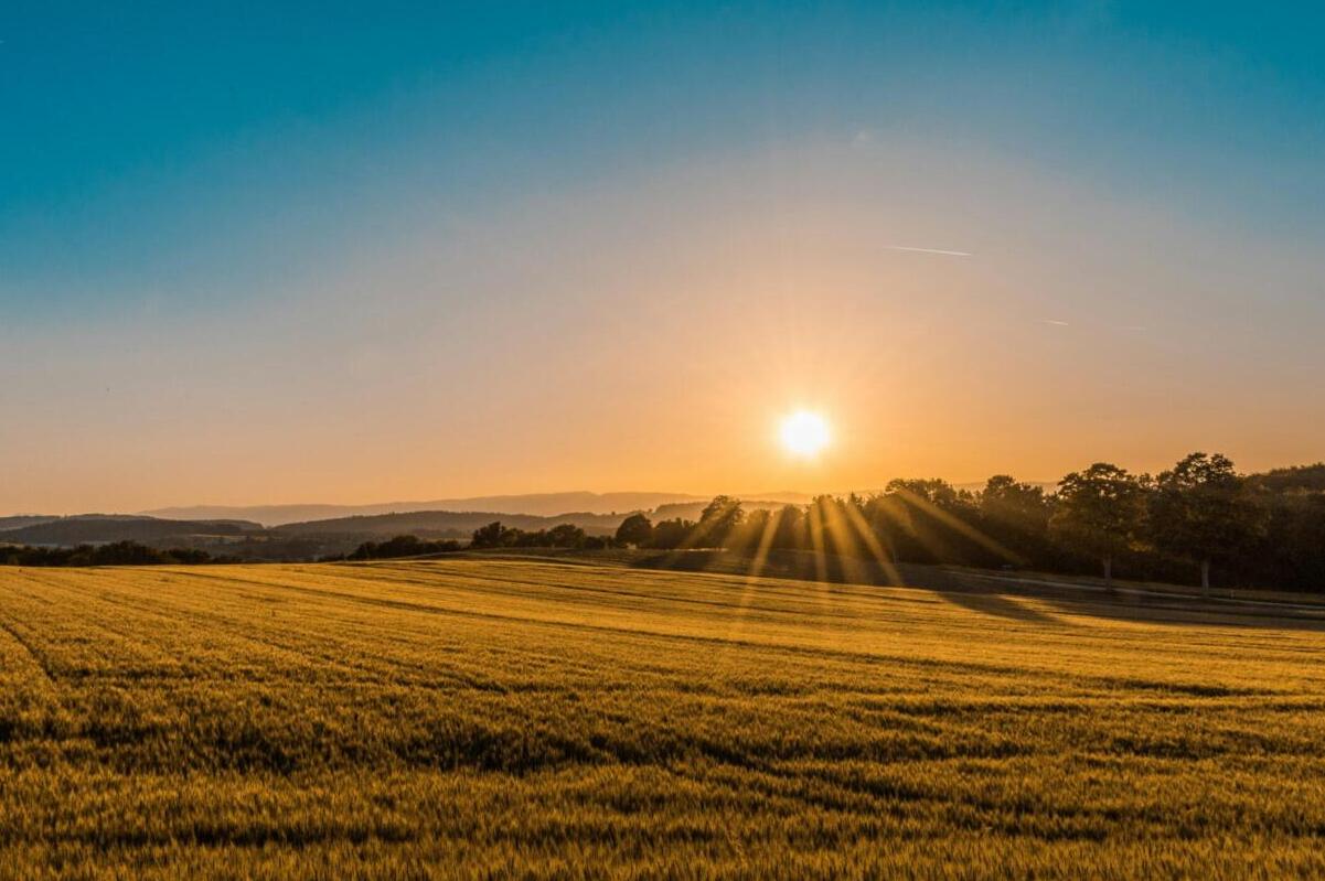 sunny landscape