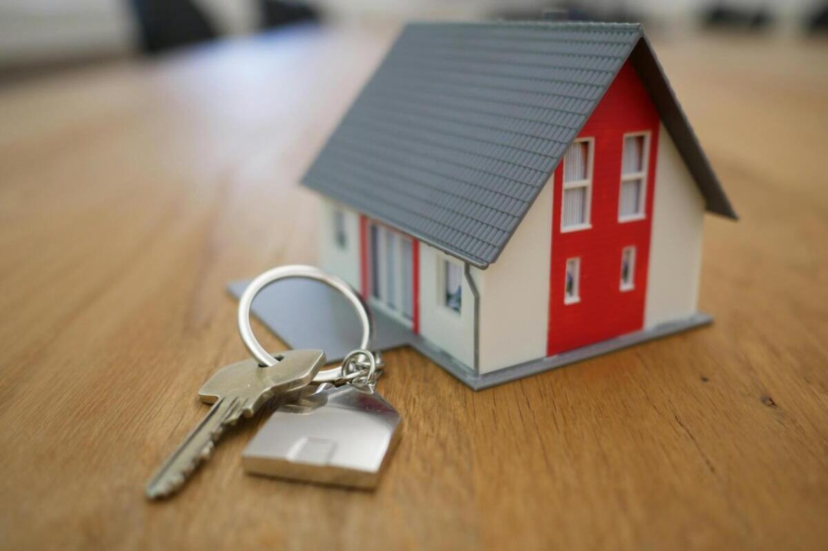 mini house