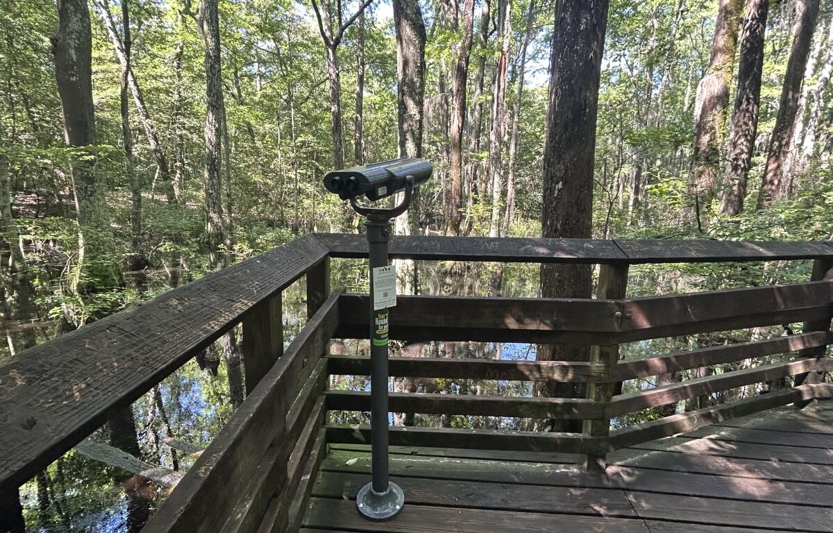 EnChroma viewfinder at First Landing State Park