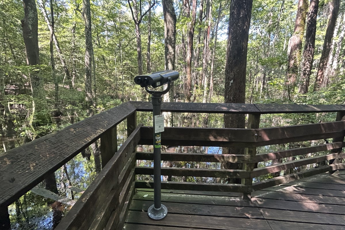 EnChroma viewfinder at First Landing State Park