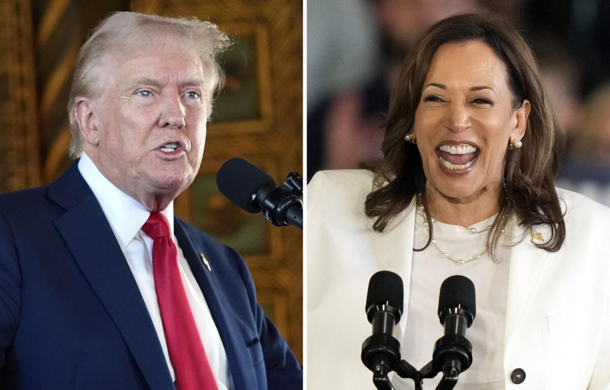 Donald Trump Kamala Harris