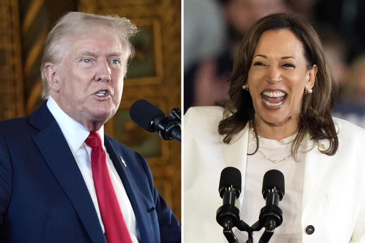 Donald Trump Kamala Harris