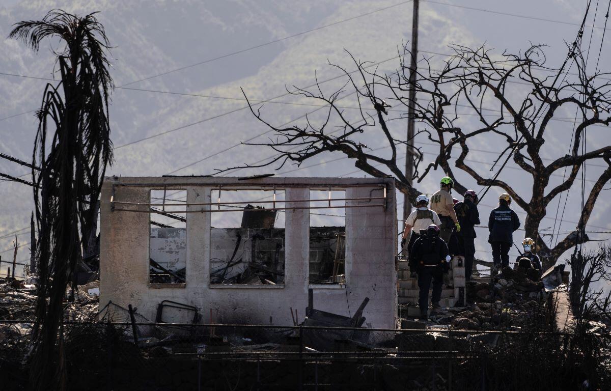 maui fires