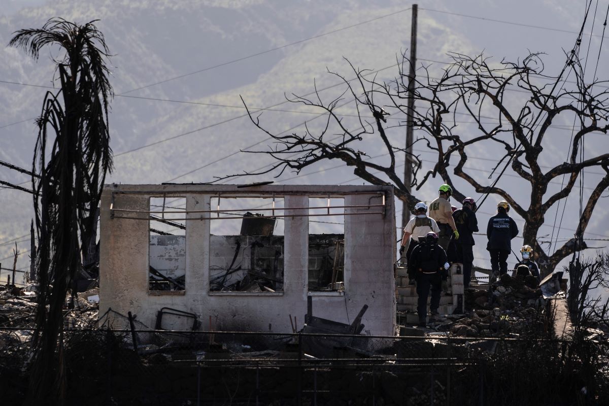 maui fires