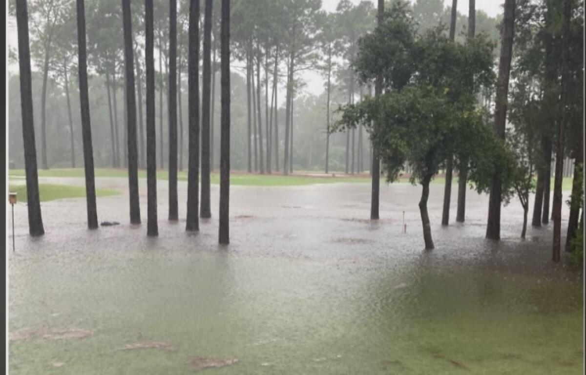 NC rain inundated grass