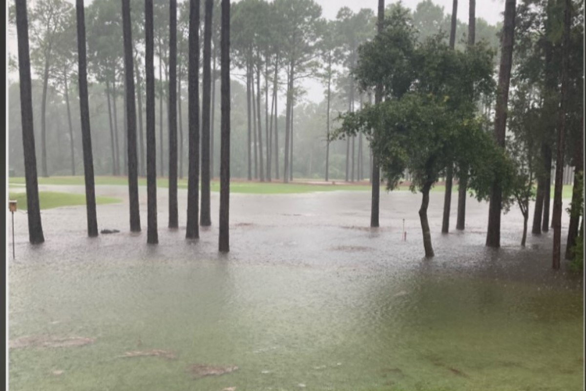 NC rain inundated grass