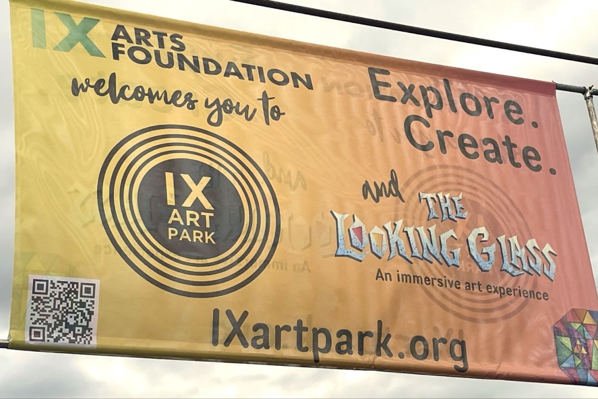 IX Art Park Foundation image