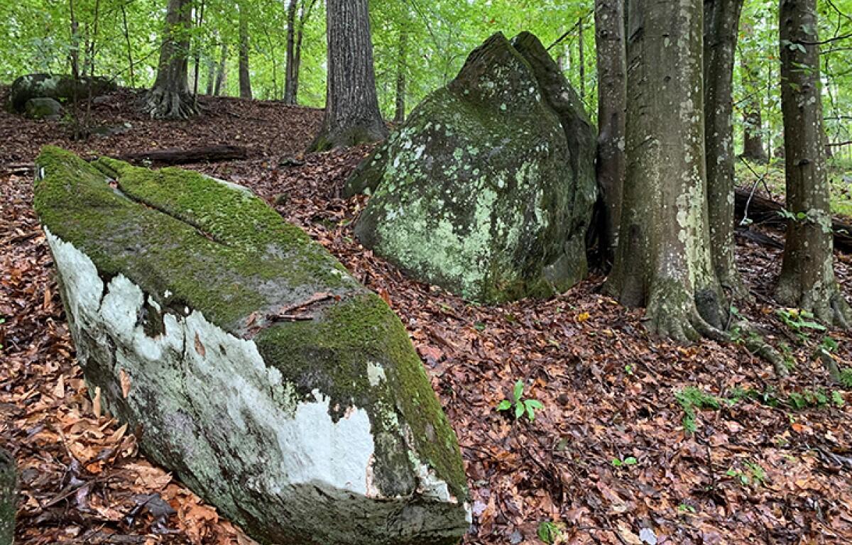 Biscuit Run boulders