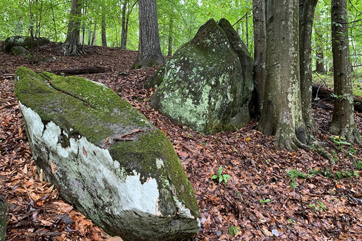 Biscuit Run boulders