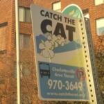 CAT sign