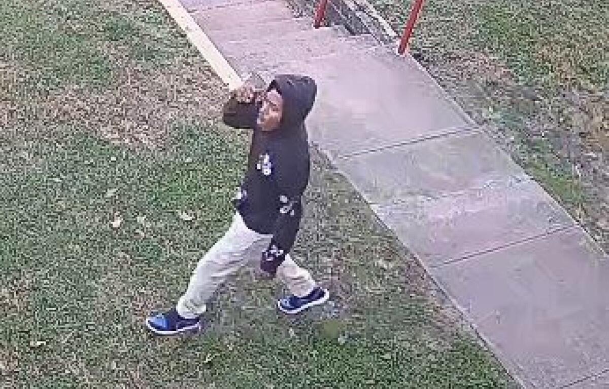 Hardy Drive shots suspect