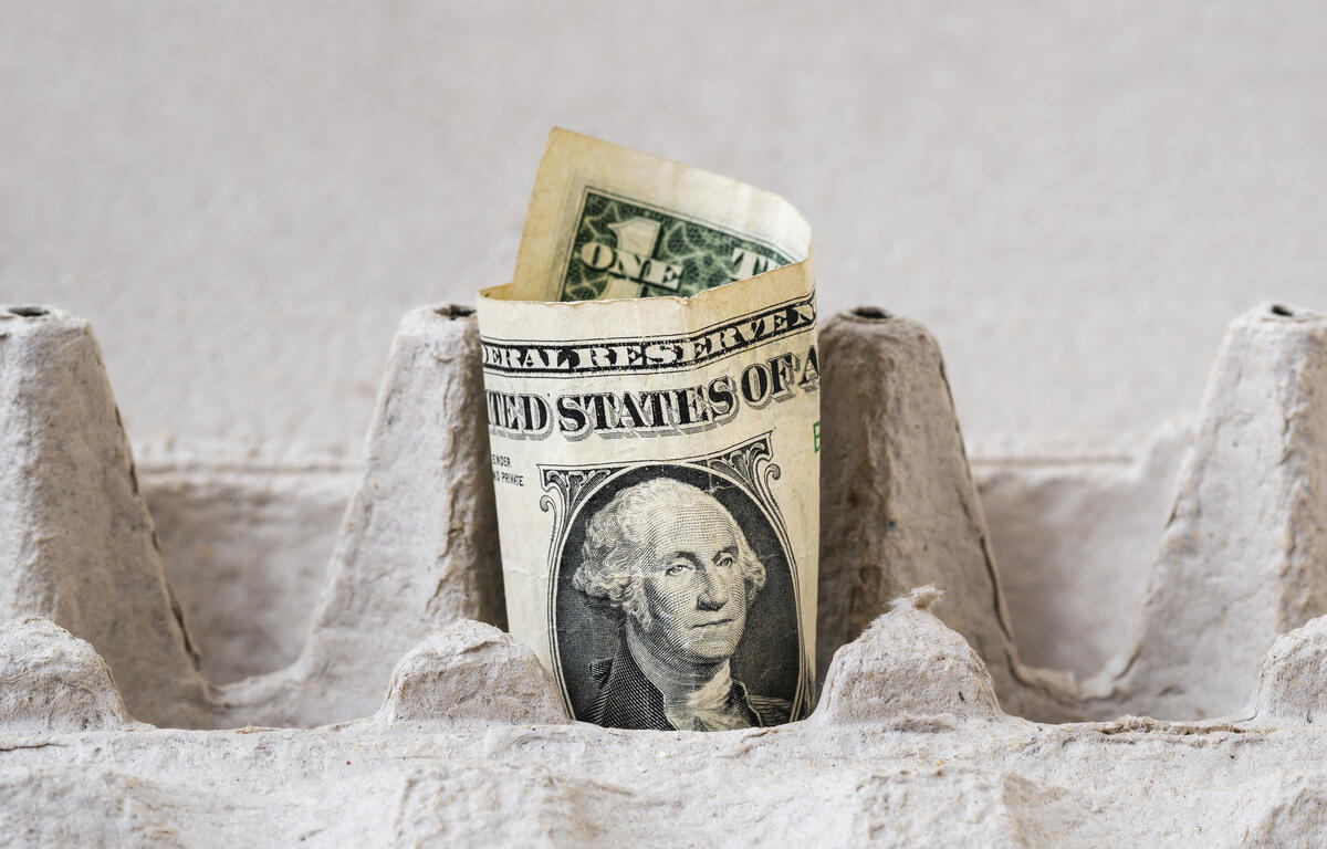 Dollar in egg carton
