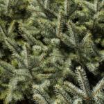 Christmas Tree (Metro)