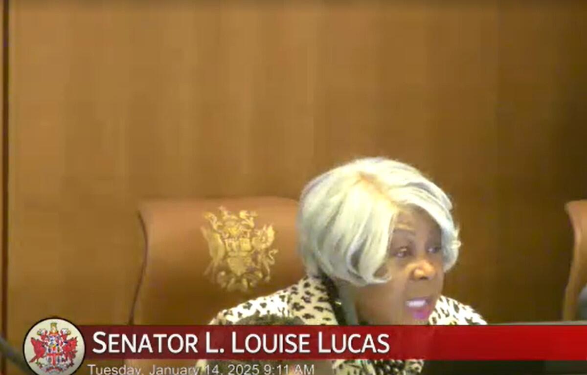 Louise Lucas (D-Portsmouth) at Senate Finance