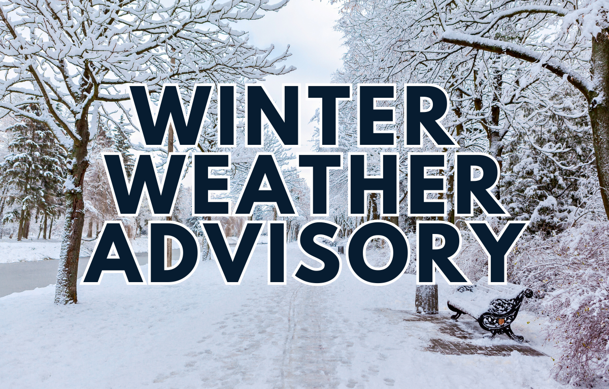 snow, winter, weather, cold, freeze