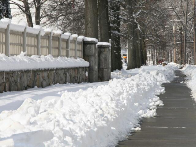 Snow Shoveled Sidewalk_Metro