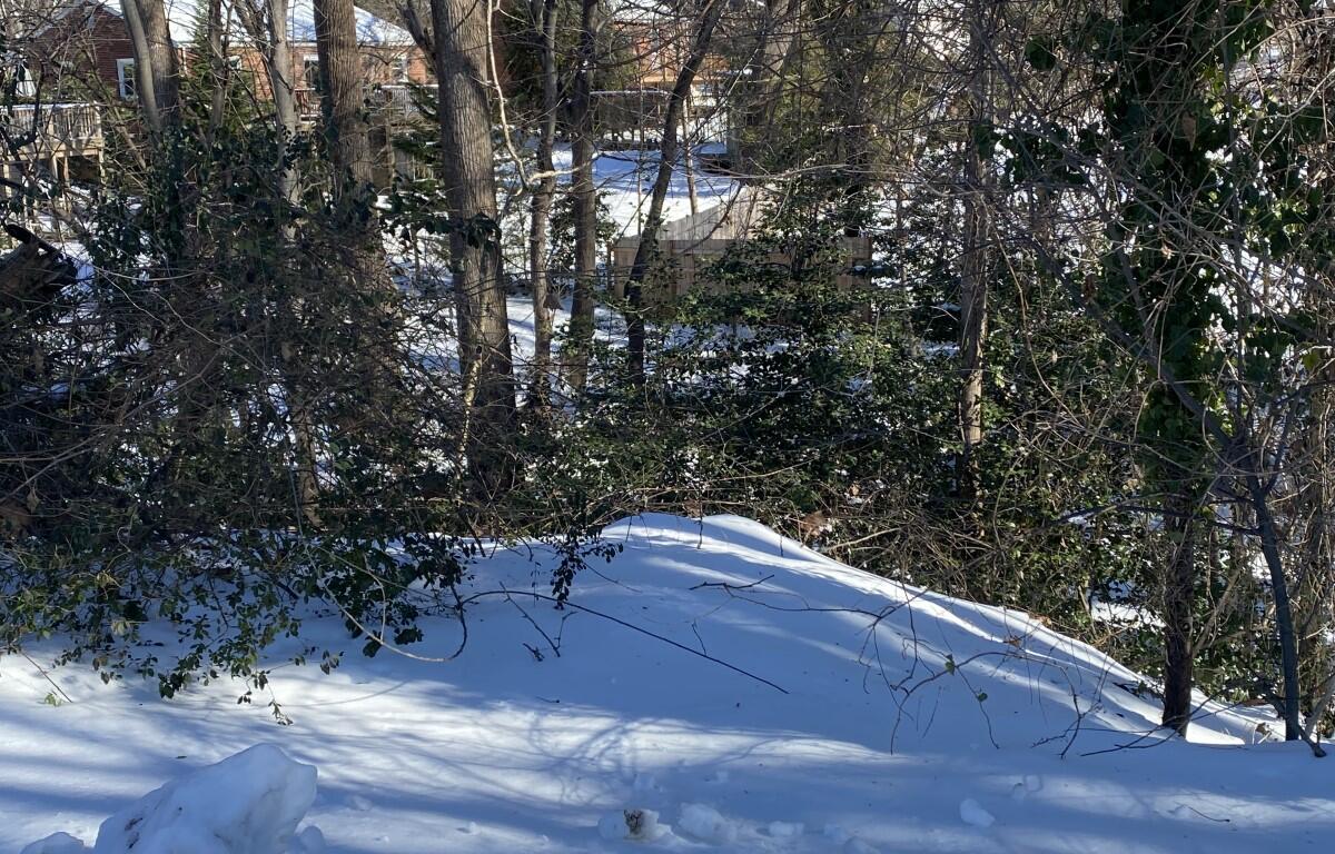 snow cover