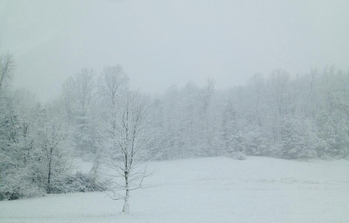 Snowy-Field-in-Albemarle-County_JP-1.jpeg