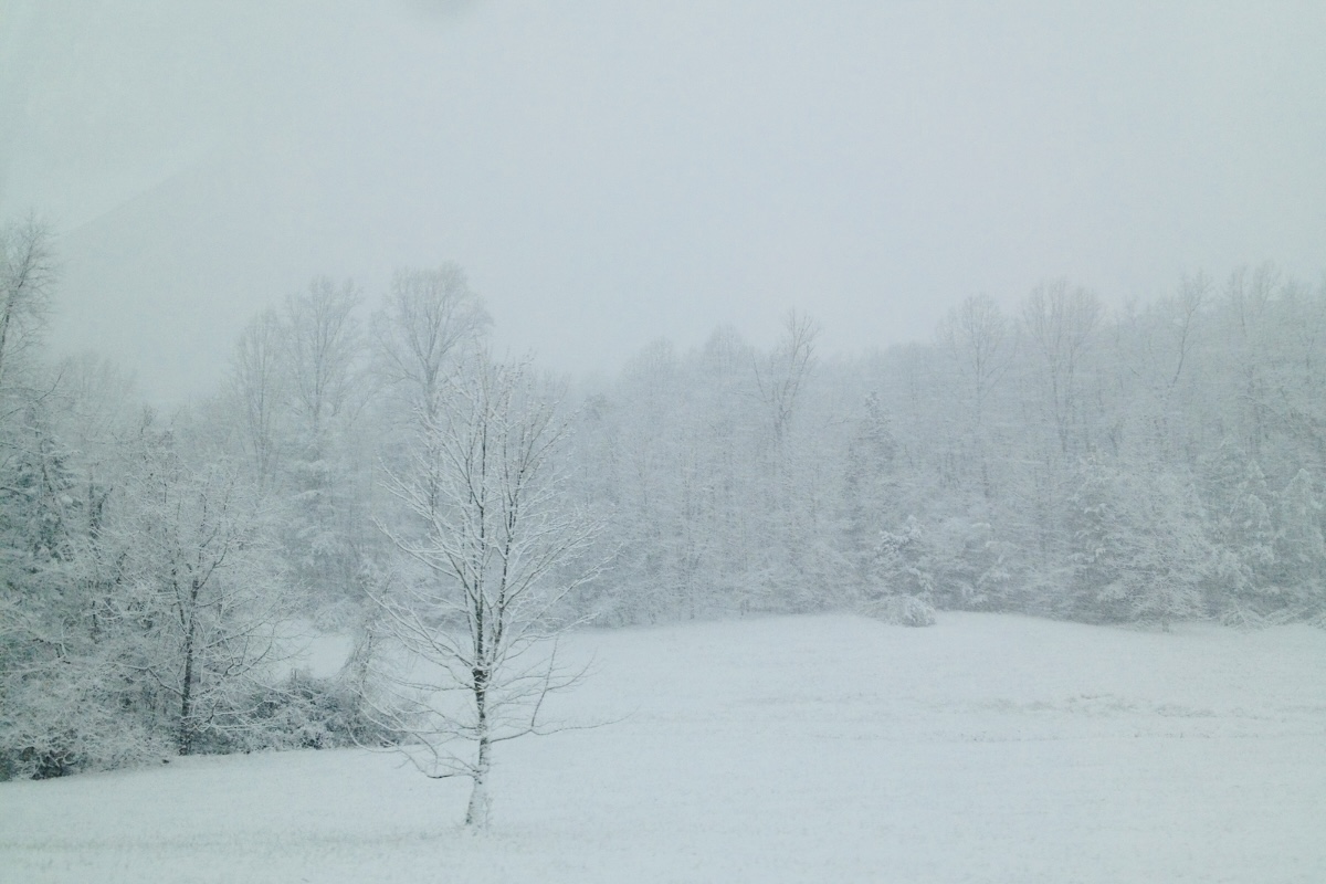 Snowy-Field-in-Albemarle-County_JP-1.jpeg