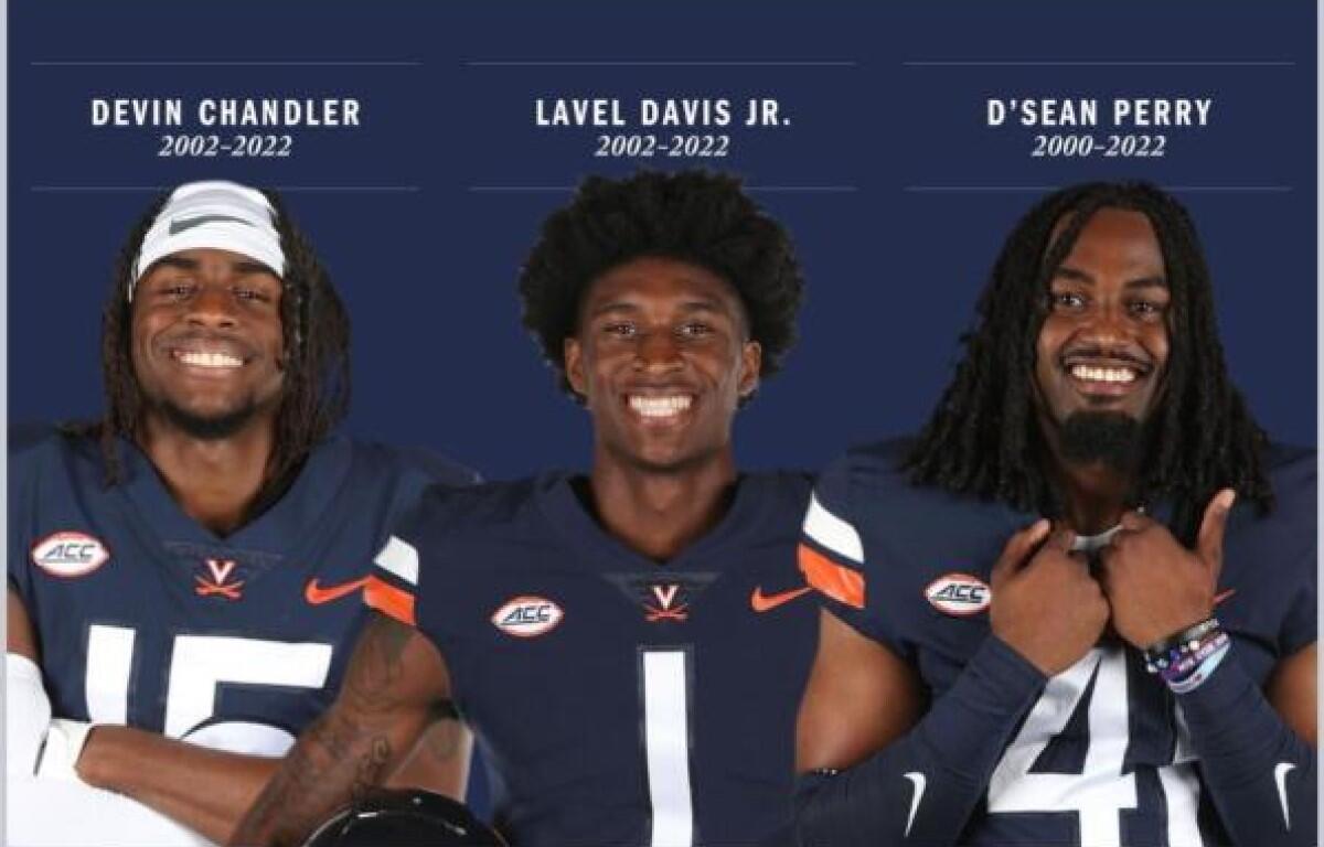 Chandler Davis Perry image