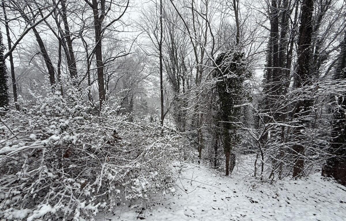 snow