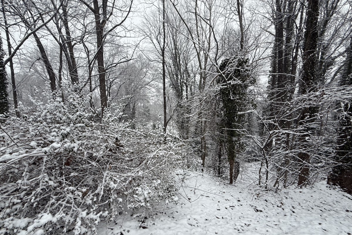 snow