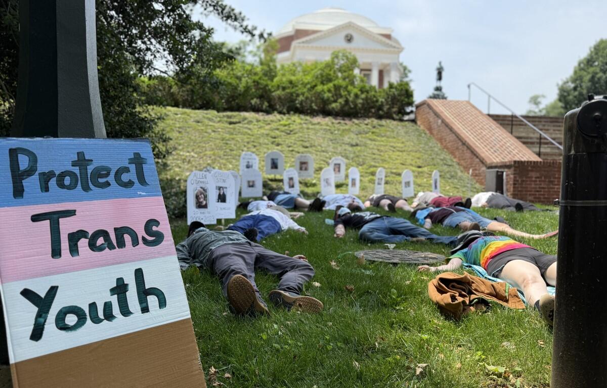 UVA Die In participants