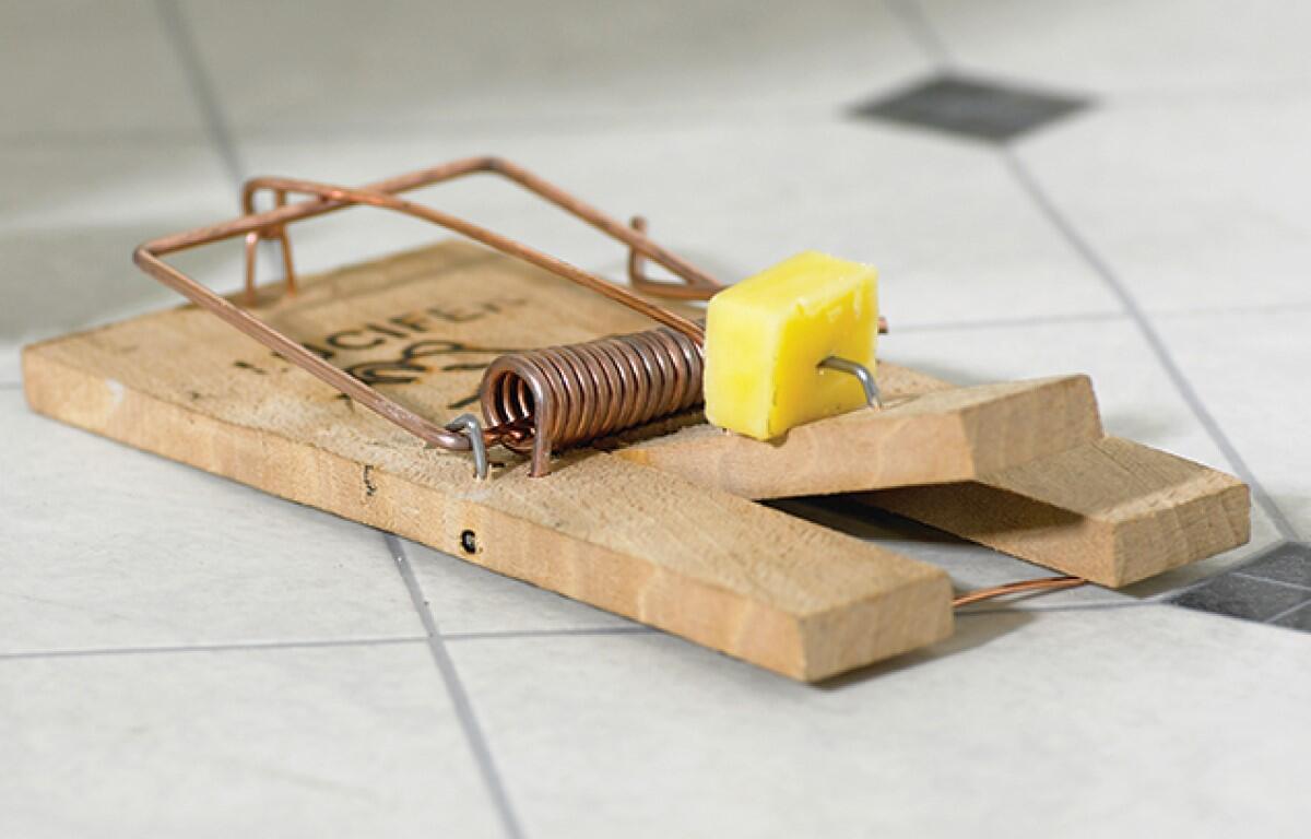 mouse trap