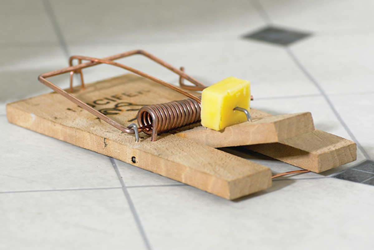 mouse trap